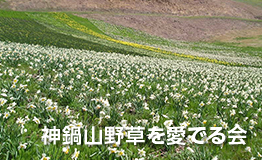 神鍋山野草を愛でる会